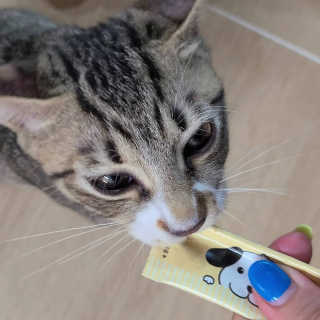 상어오리님이 올린 리뷰 사진 1