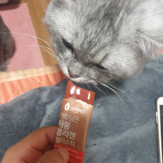 알몽님이 올린 리뷰 사진 4
