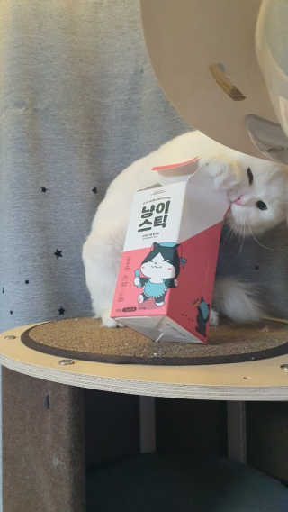 채시아님이 올린 리뷰 사진 3