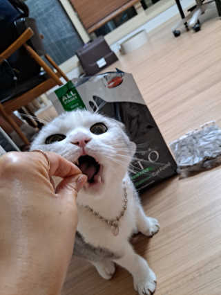 라니으니님이 올린 리뷰 사진 2
