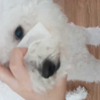 ❤꼬네우니🧡님이 올린 리뷰 사진 4