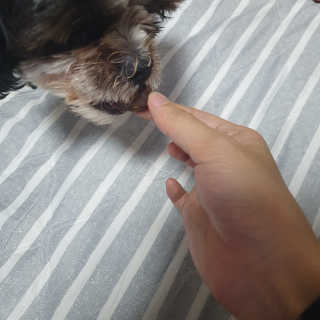 가횽님이 올린 리뷰 사진 3
