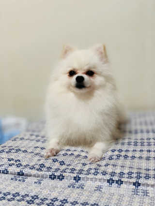 anacro님이 올린 리뷰 사진 2