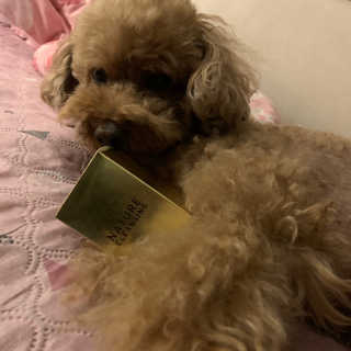 뚜루님이 올린 리뷰 사진 4