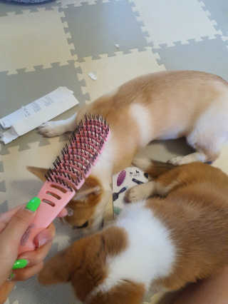 SeRyeonfit님이 올린 리뷰 사진 1