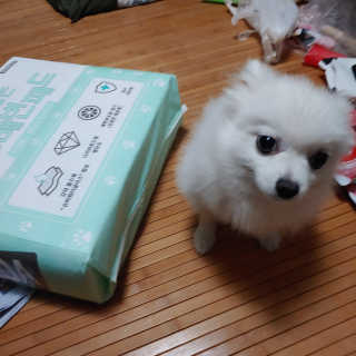 이누닷님이 올린 리뷰 사진 3