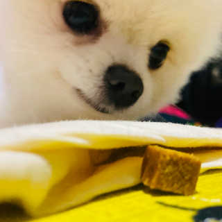 임수빈님이 올린 리뷰 사진 3