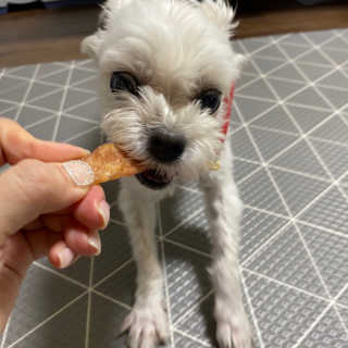 당근님이 올린 리뷰 사진 2