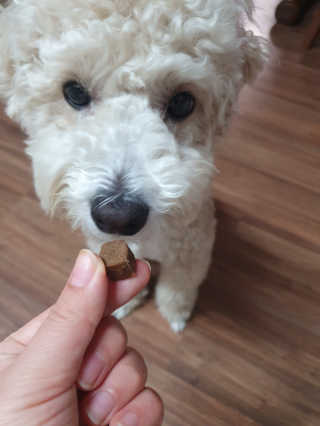 My Pet Care 천연단백질 관절건강에 개좋아 — 5점을 준 리뷰어가 2020년 11월 올린 사용 사진