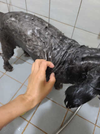 푸름님이 올린 리뷰 사진 3