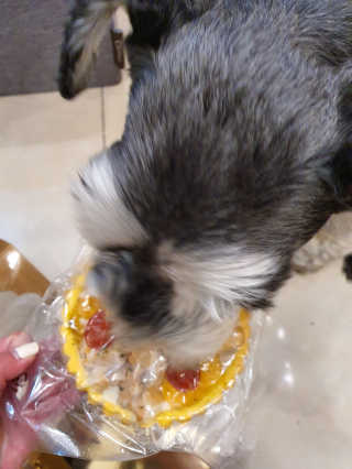 배엘세바님이 올린 리뷰 사진 2