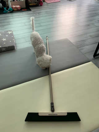 큐티윤님이 올린 리뷰 사진 2