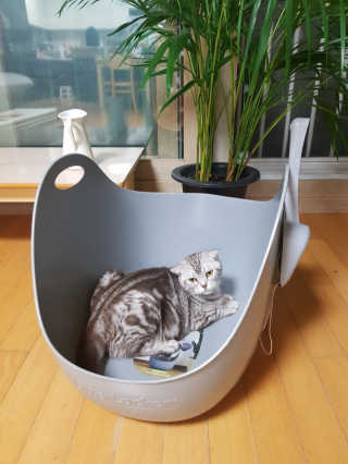 롤리팝님이 올린 리뷰 사진 1
