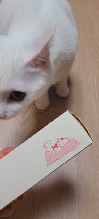 대박이님이 올린 리뷰 사진 2
