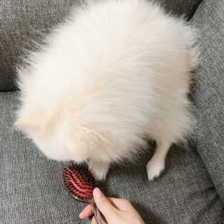 꾸눙맘님이 올린 리뷰 사진 3