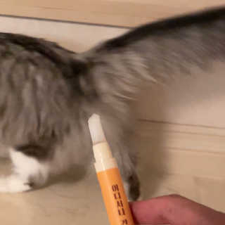 도도새님이 올린 리뷰 사진 3