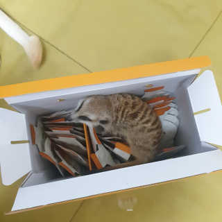 Lilly❤️님이 올린 리뷰 사진 2