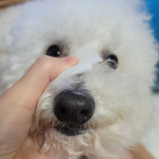 ❤꼬네우니🧡님이 올린 리뷰 사진 4