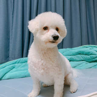 이이이잉ㅇ님이 올린 리뷰 사진 3