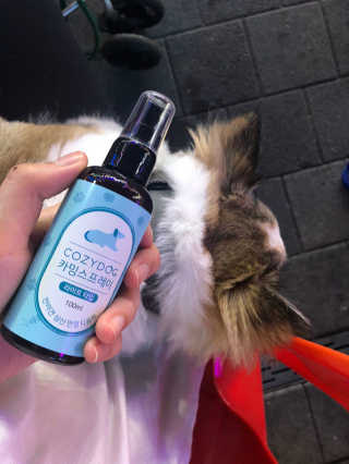 sweetrain님이 올린 리뷰 사진 3