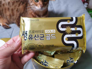 서울약사신협_프로바이오생유산균골드_2.5x100포 — 5점을 준 리뷰어가 2020년 5월 올린 사용 사진