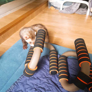 시나마나애영님이 올린 리뷰 사진 1