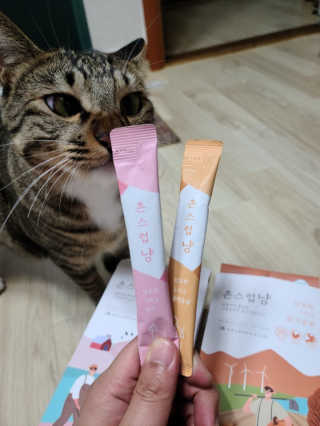 BoRaJin님이 올린 리뷰 사진 1