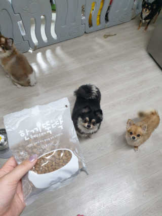 태훈맘님이 올린 리뷰 사진 2