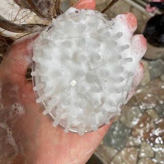 에이처드 유산균 탈모 샴푸 500ml — 5점을 준 리뷰어가 2020년 8월 올린 사용 사진