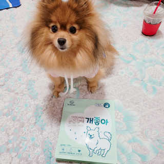 My Pet Care 천연단백질 눈건강에 개좋아 — 5점을 준 리뷰어가 2020년 12월 올린 사용 사진