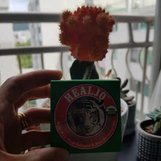 모모랜드님이 올린 리뷰 사진 2