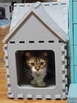 오남매맘님이 올린 리뷰 사진 3
