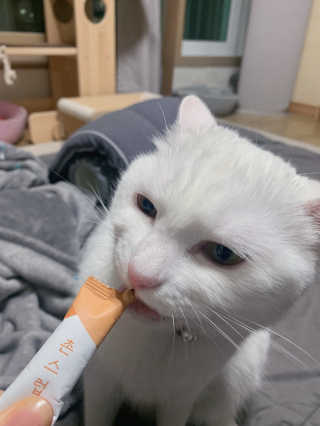 례진님이 올린 리뷰 사진 1
