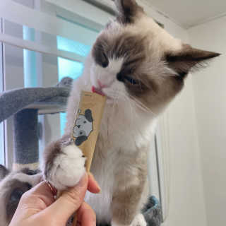 써니블리님이 올린 리뷰 사진 1