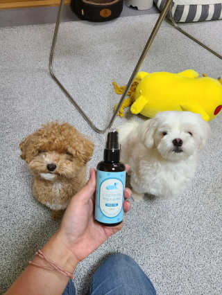 하승님이 올린 리뷰 사진 4