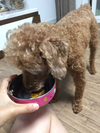 kimgaga2님이 올린 리뷰 사진 3