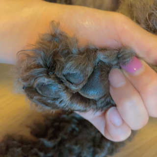 sooholuv님이 올린 리뷰 사진 2