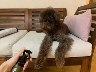콩지님이 올린 리뷰 사진 2