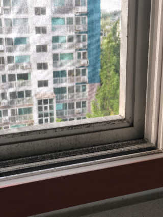 berryjjung님이 올린 리뷰 사진 3
