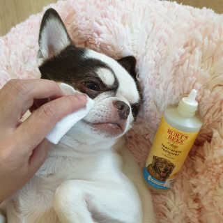 mini unni님이 올린 리뷰 사진 2