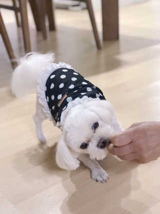 물끼님이 올린 리뷰 사진 4