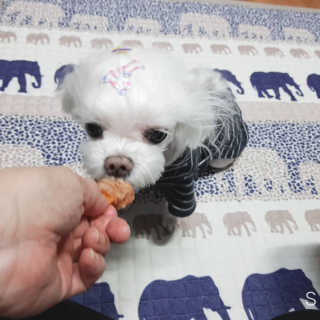 두부님이 올린 리뷰 사진 1