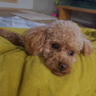 고유라님이 올린 리뷰 사진 3