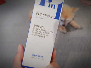 강아지스토리 포인원 모이스처 미스트 100ml — 5점을 준 리뷰어가 2020년 6월 올린 사용 사진