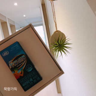 묵향가득님이 올린 리뷰 사진 4