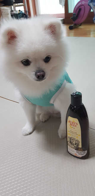 겸둥이연우맘님이 올린 리뷰 사진 3