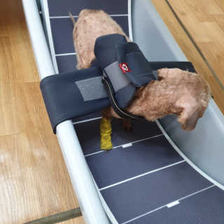랭쑤님이 올린 리뷰 사진 2