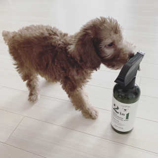 체리봉봉님이 올린 리뷰 사진 1