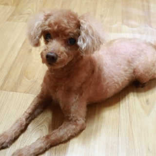 쑤기님이 올린 리뷰 사진 4