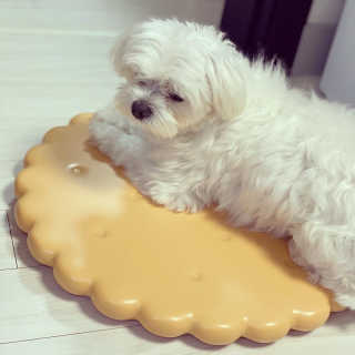 칸쵸님이 올린 리뷰 사진 1